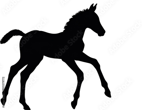 Silhouette of a foal running