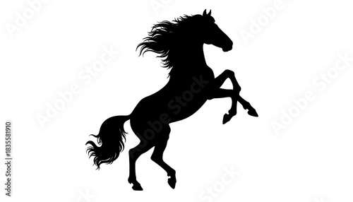 Silhouette of a rearing horse