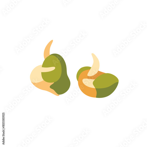 Fresh mung bean sprouts crunchy vegetable, vector flat illustration