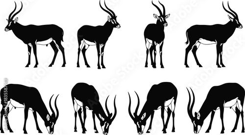 Stunning set of diverse antelope silhouettes showcasing elegant horns and various natural poses perfect for wildlife design projects