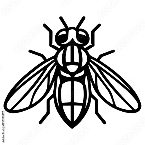 Minimalist line drawing of a housefly viewed from above with detailed wings, compound eyes, and six legs—clean black outline ideal for science visuals, pest-control signage, and educational materials.