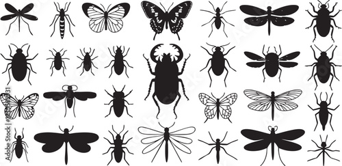 Collection of vector silhouettes of various insects flying and crawling