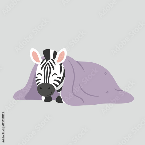 Cute zebra hiding under purple blanket.