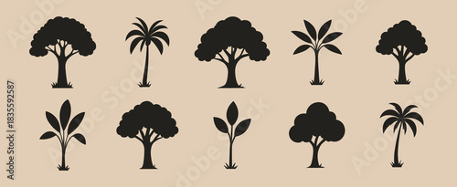 Tropical and forest tree silhouette collection with palm and foliage icons in flat vector style