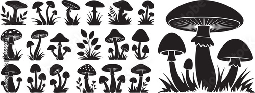 Variety of mushroom silhouettes isolated on white background vector illustration