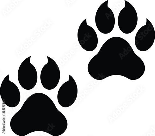 Tiger paw print represented in a strong bold and natural themed vector art Vector illustration
