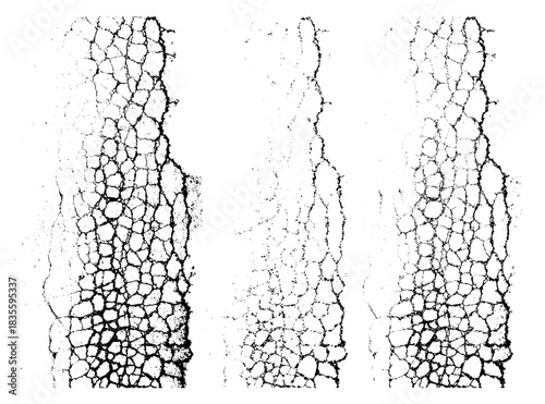 Vector natural surface texture set. Crack ground overlays. Abstract grungy monochromatic backgrounds.