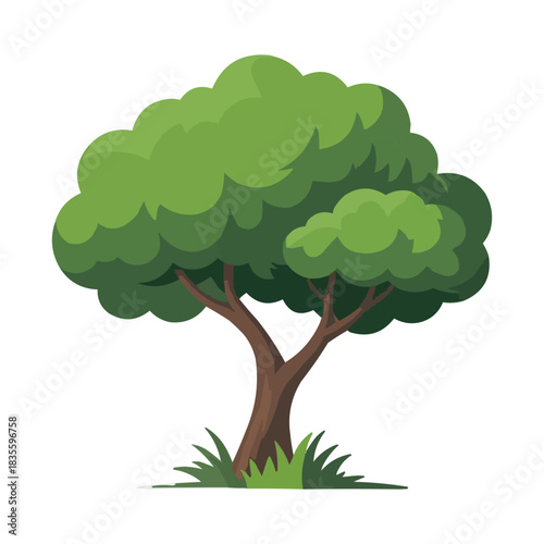 green tree with green leaves,
