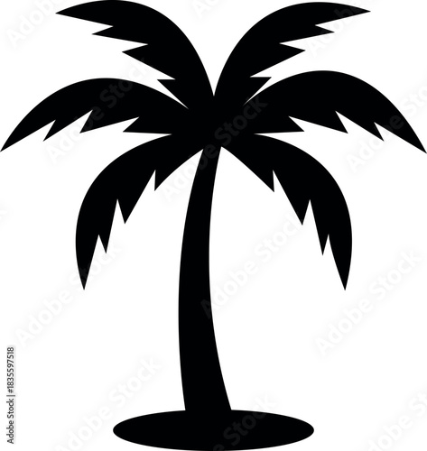 silhouette of a palm tree