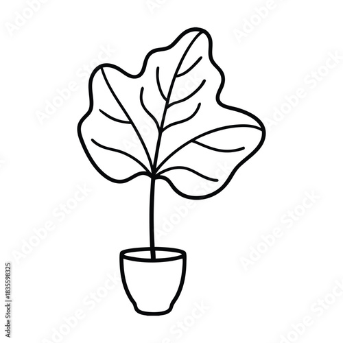 Fiddle leaf fig line art depicting a stylish indoor potted plant botanical design Vector illustration