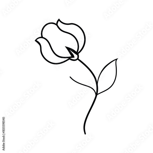 Sweet pea flower line art creating a delicate floral icon ideal for elegant wedding themes Vector illustration