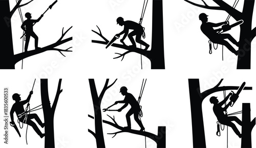 Silhouette Set of Arborists and Tree Surgeons Working Safely on High Tree Branches Using Chainsaws, Saws, and Professional Climbing Gear