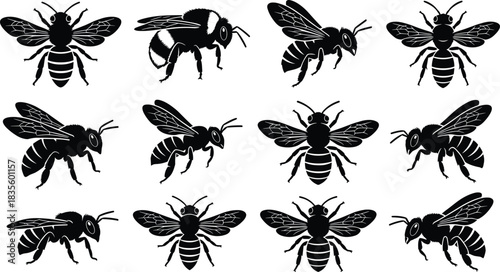 Vector Silhouette Collection of Honey Bees, Bumblebees, and Wasps in Various Flying and Resting Poses, Ideal for Nature and Insect Design
