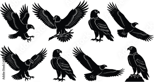 Vector Silhouette Set of Majestic Eagles and Hawks in Various Poses, Including Flying, Hunting, and Perching on Branches or Rocks