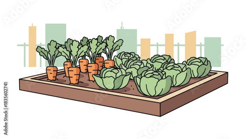 Urban vegetable patch vector illustration. Raised garden bed with carrots and cabbages in a city setting. Concept for urban farming and sustainable food