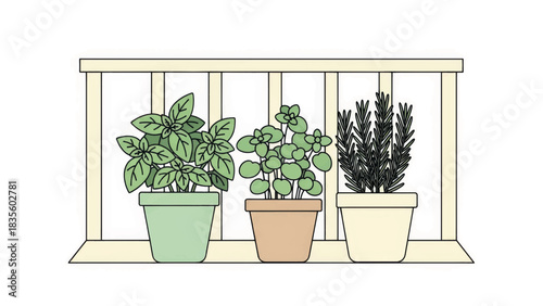 Balcony herb garden vector illustration. Minimalist line art of fresh potted plants. Basil, oregano, and rosemary for urban farming and cooking