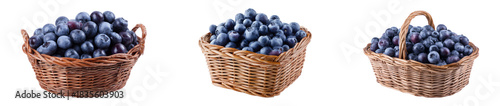 Wallpaper Mural Sets of blueberry baskets isolated. Torontodigital.ca
