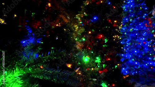A small forest of decorated Christmas trees strung with lights set on the edge of the City Park, provide for a scenic backdrop for the selfies and family photos.
