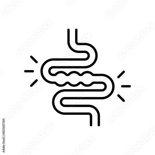 Intestine vector icon. editable line icon, linear outline health symbol