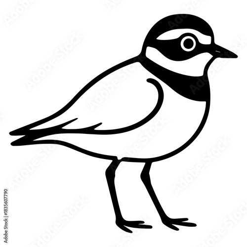 Minimalist black-and-white illustration of a little ringed plover standing on slender legs, showing the bold head band and eye ring as a clean vector icon.
