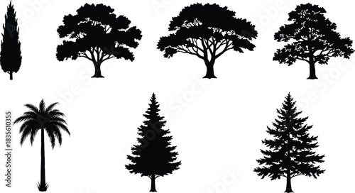 Black tree silhouettes of broadleaf, palm, and conifer types showing diverse shapes, forest elements, nature, ecology, environment, landscape illustration