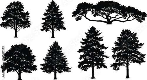Black tree silhouettes of seven different shapes showing unique branching patterns, canopy structures, foliage density, natural design, forest, ecology, landscape illustration