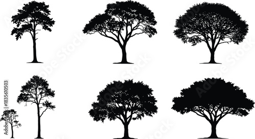 Black tree silhouettes with different shapes, willow, palm, deciduous, foliage, branches, natural forest elements, landscape design, abstract vector illustration artwork