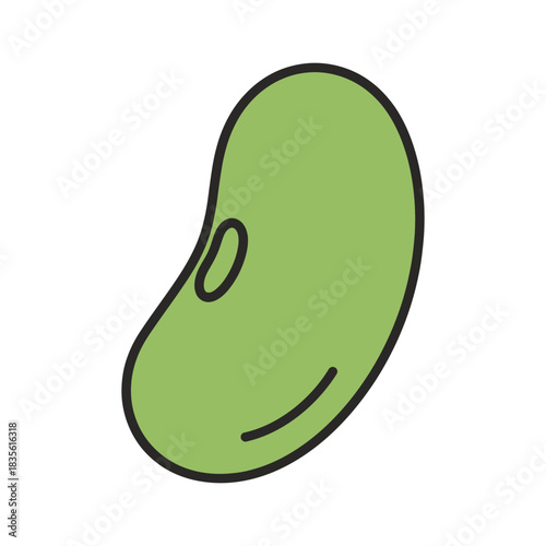 lima bean vector illustration