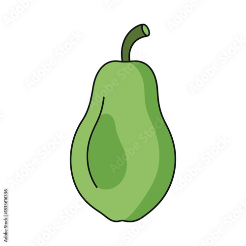 green papaya vegetable vector illustration