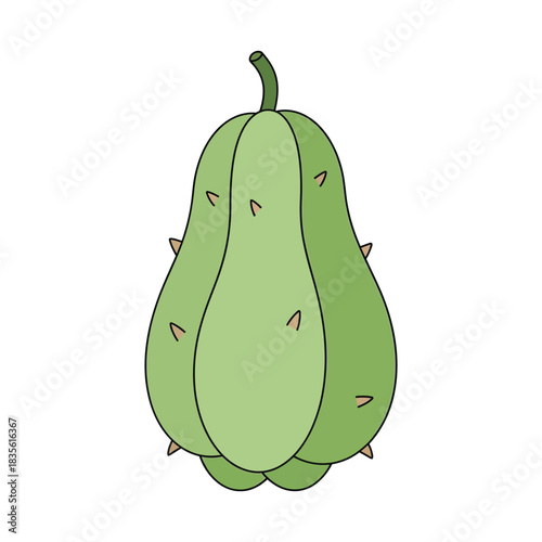 chayote vegetable vector illustration