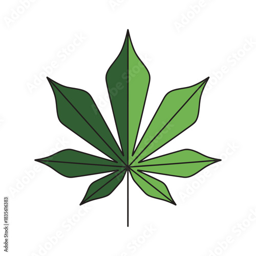 cassava leaf vector illustration