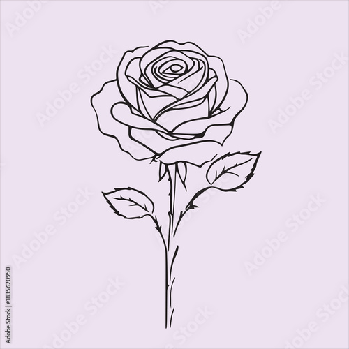 Creative rose silhouette vector design with a white background