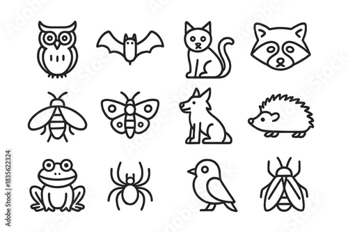 Nocturnal Line Icons. Night Creatures. Line icon set of Night Creatures: owl, bat, cat, raccoon, firefly, moth, wolf, hedgehog, frog, spider, nocturnal bird,