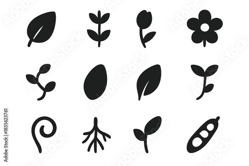 Botanical Icon Grid. Botanical Forms. Solid icon set of Botanical Forms: leaf, stem, bud, flower, vine, seed, petal, sprout, branch, tendril, root, pod. Filled