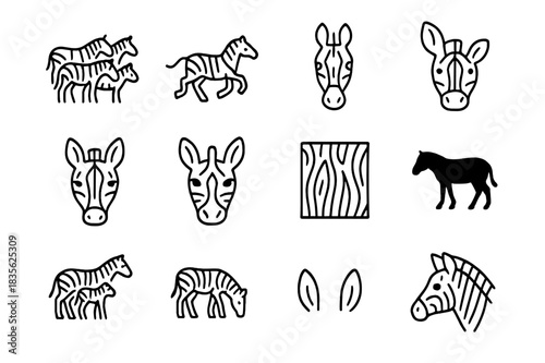Zebra Icon Collection. Wild Zebras. Line icon set of Wild Zebras: zebra herd, running zebra, standing zebra, zebra head, zebra face close-up, zebra stripes