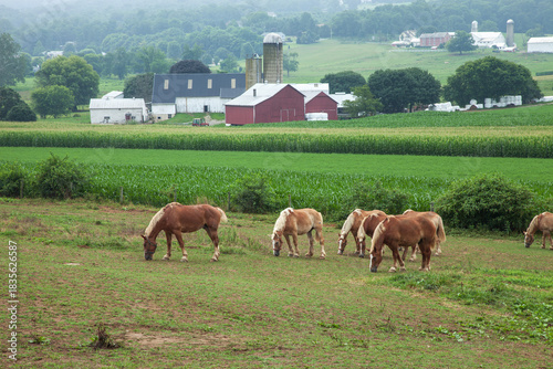 Farms hills and horses in Lancaster County Pennsylvania Amish country
