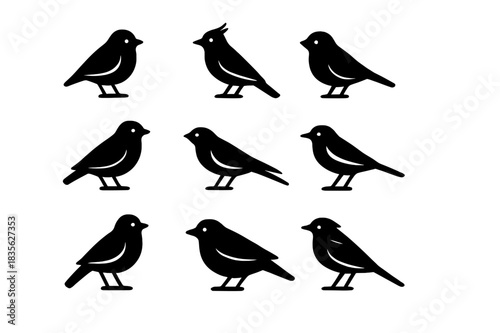 Meadow Birds Icons. Meadow birds. Solid icon set of Meadow birds: sparrow, lark, robin, finch, swallow, wagtail, blackbird, goldfinch, skylark, warbler,