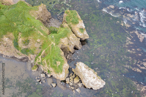 Aerial view of the rocky shore in Tikhaya Bay on Sakhalin Island