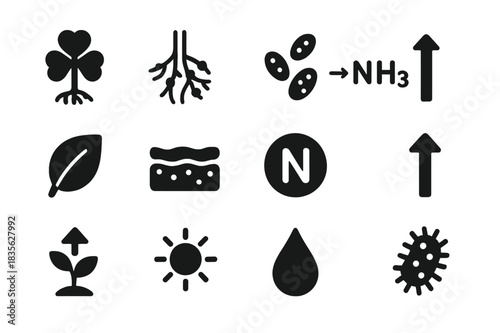 Nitrogen Fixation Icons. Nitrogen fixation. Solid icon set of Nitrogen fixation: clover plant, root nodules, bacteria icon, chemical reaction, leaf icon, soil
