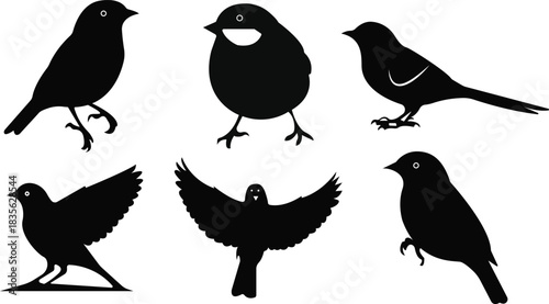 Silhouette collection of various bird species on white background