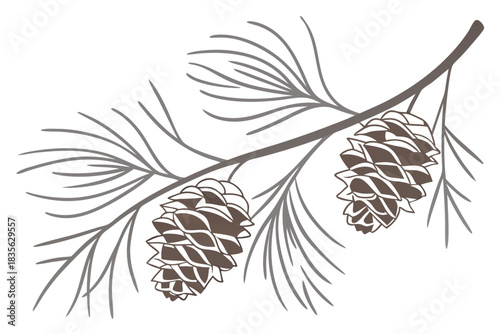 Minimal pinecones with subtle shading perfect for banners and advertisements