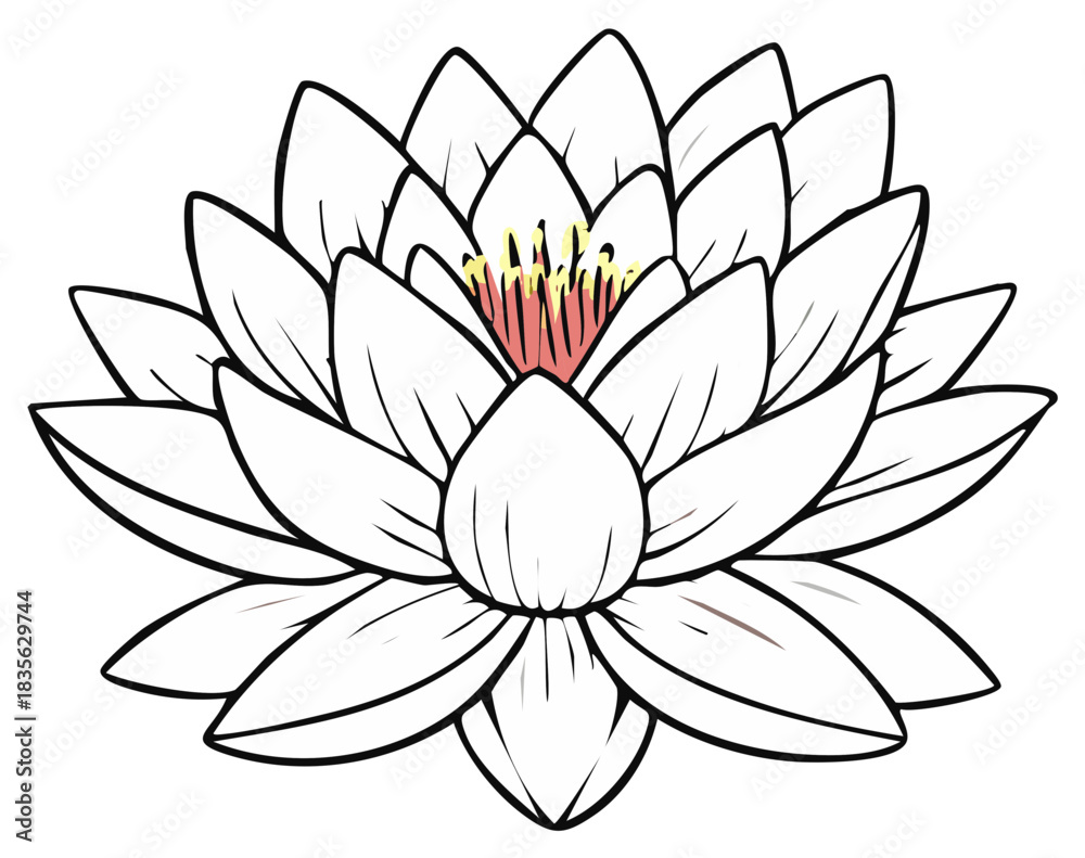 Fototapeta premium Stylized line art illustration of a beautiful blooming white lotus flower