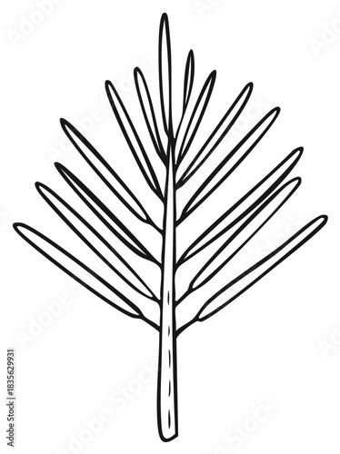 Single spruce branch illustration in black and white, hand drawn simple stylized tree needles and stem