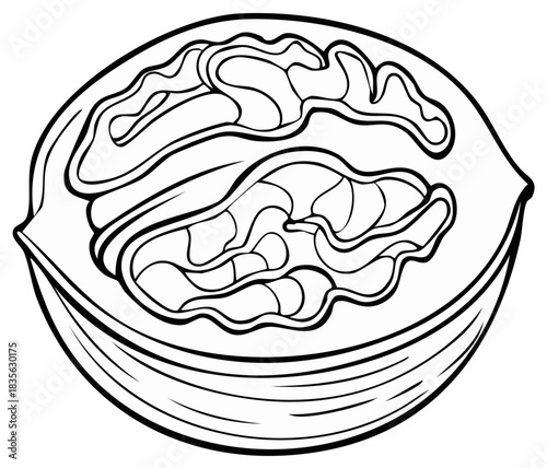 Line art illustration of half walnut with detailed kernel patterns, black and white minimalist design for print and coloring