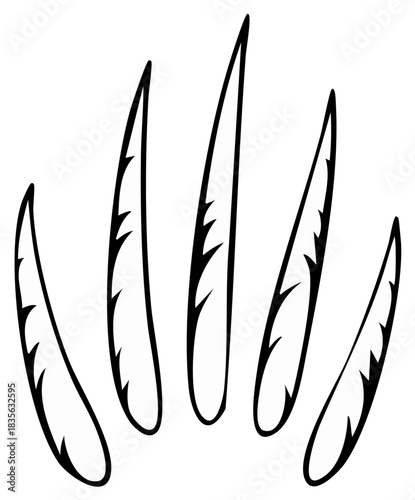 Sharp claws illustration representing aggression or danger, animalistic attack or feral nature concept, in simple black and white vector design