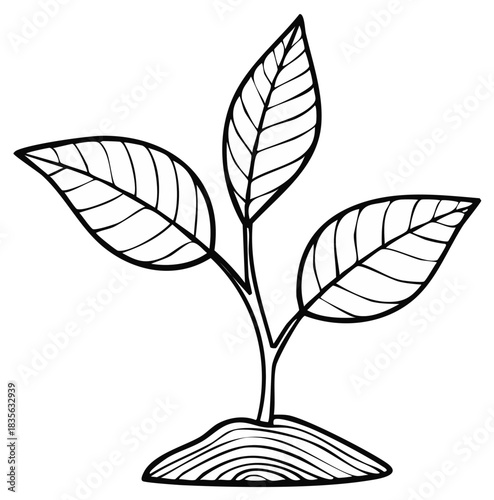 Drawing of a young plant with three leaves sprouting from soil ready for Spring gardening and environmental concepts