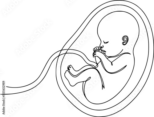 Baby embryo in womb, fetus one art line continuous drawing, Continuous line of fetus in womb.one line drawing of baby fetus in mother's stomach in gestational age.
