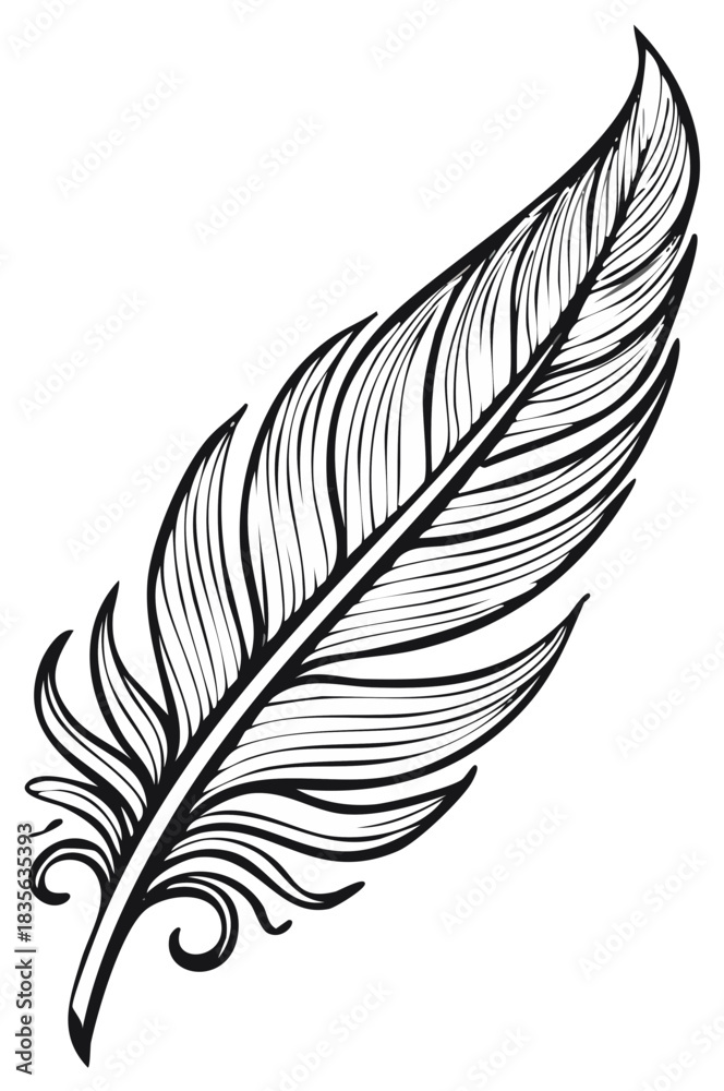 Fototapeta premium Elegant hand drawn black and white feather illustration with intricate details
