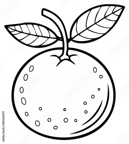 Orange fruit with leaves black and white illustration