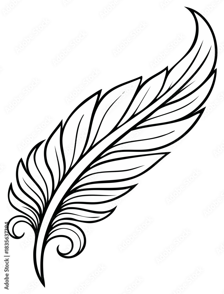 Fototapeta premium Elegant Feather Design with Swirls Ink Drawing Ornament Decorative Graphic Element